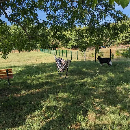 Appartamento S'bahnhoefle *