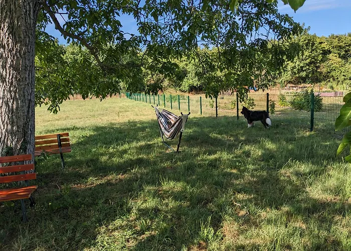 Daire S'bahnhoefle *